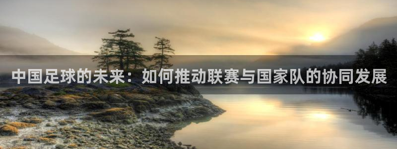 意昂体育是正规平台的吗：中国足球的未来：如何推动联赛与国家队