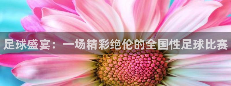 意昂体育是正规平台的吗：足球盛宴：一
