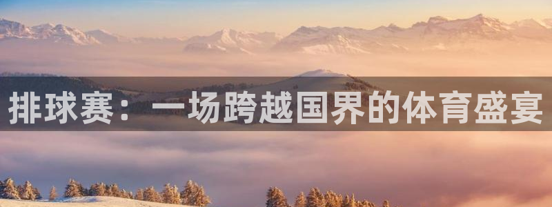 意昂平台官网：排球赛：一场跨越国界的体育盛宴