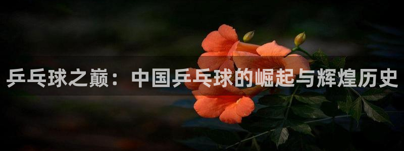  意昂体育app官方网站入口下载：乒乓球之巅：中国乒乓球的崛起