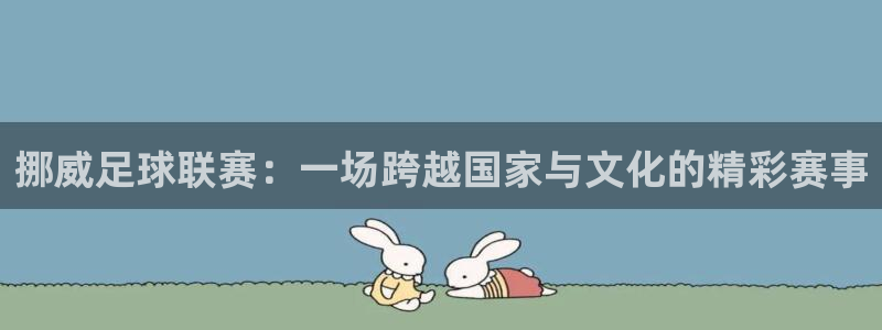 意昂体育app官方下载安装：挪威足球