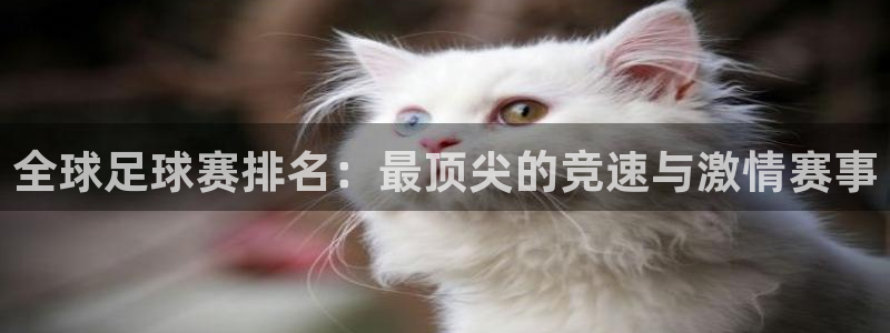  意昂注册：全球足球赛排名：最顶尖的竞速与激情赛事