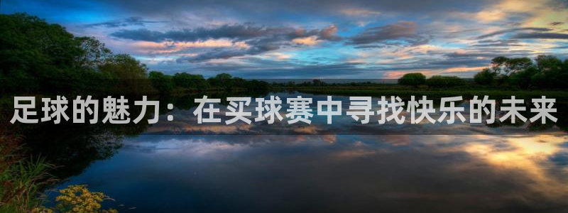  意昂平台登录入口2025：足球的魅力：在买球赛中寻找快乐的未