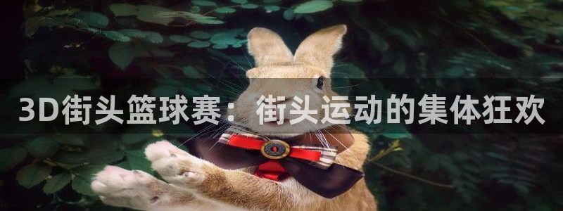 意昂注册：3D街头篮球赛：街头运动的