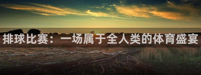 意昂体育app官方下载安装：排球比赛