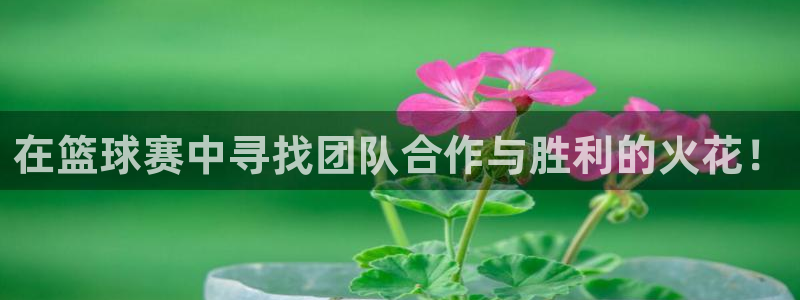 意昂官网入口登录：在篮球赛中寻找团队
