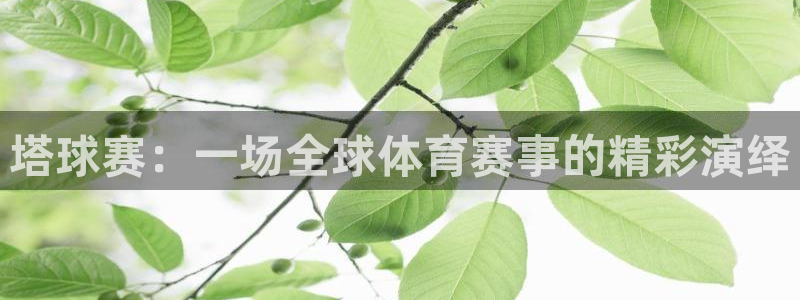 意昂体育app官方网站入口在线观看：