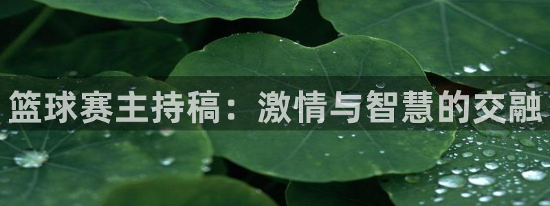 意昂平台登录入口最新版本介绍：篮球赛