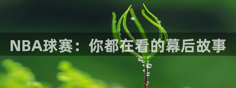 意昂体育app官方网站入口下载：NB