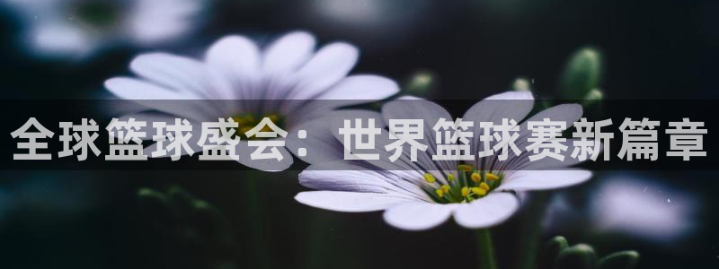 意昂平台app官方下载：全球篮球盛会
