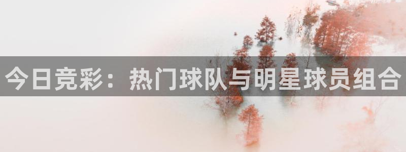 意昂体育网页登录入口入口官网网页版：