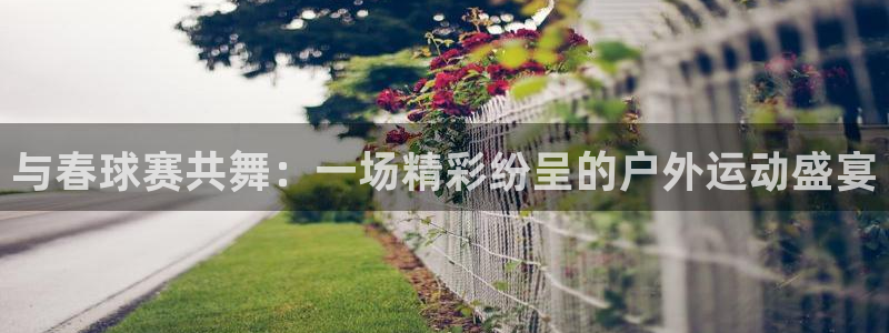 意昂体育app下载安装官网：与春球赛