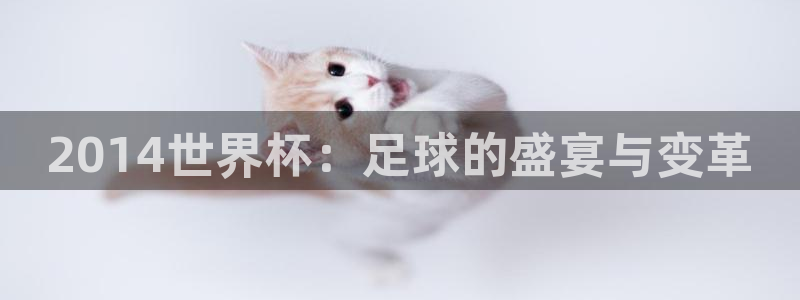 意昂体育app正版下载官网：2014