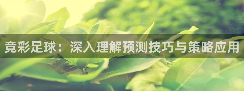 意昂注册：竞彩足球：深入理解预测技巧