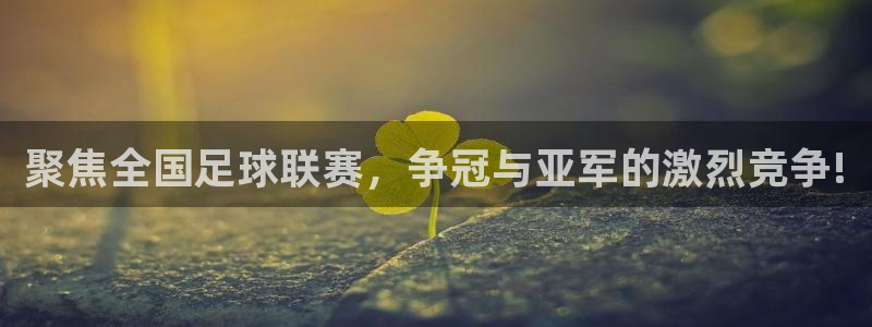 意昂平台官网：聚焦全国足球联赛，争冠