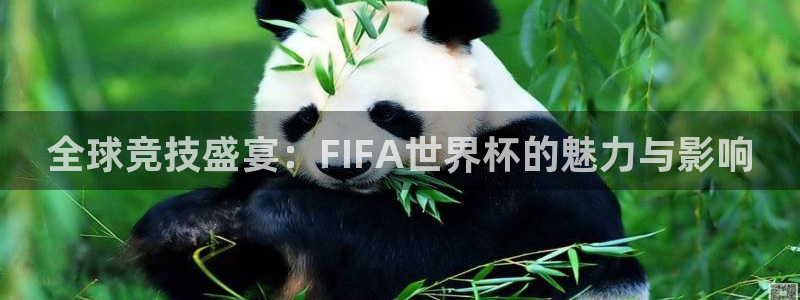 意昂平台官网：全球竞技盛宴：FIFA