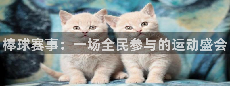 意昂体育app官方下载安装：棒球赛事：一场全民参与的运动盛会