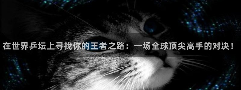  意昂平台官网：在世界乒坛上寻找你的王者之路：一场全球顶尖高手