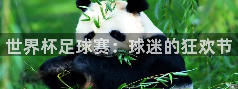  意昂体育是正规平台的吗：世界杯足球赛：球迷的狂欢节