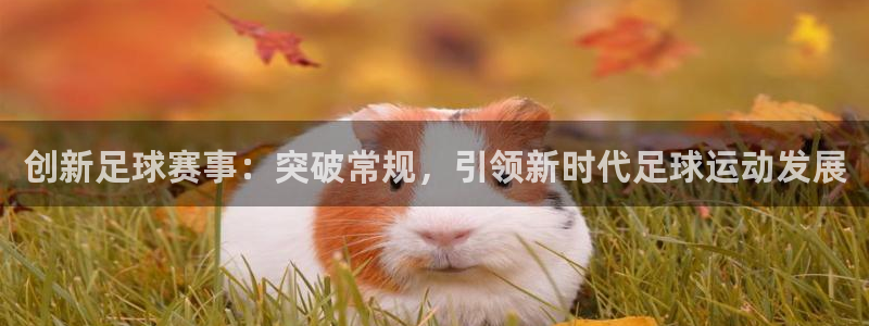 意昂平台登录入口2025：创新足球赛事：突破常规，引领新时代
