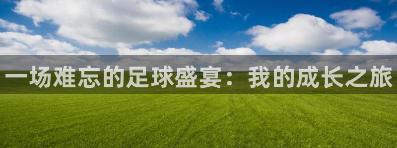 意昂体育app正版下载安装：一场难忘