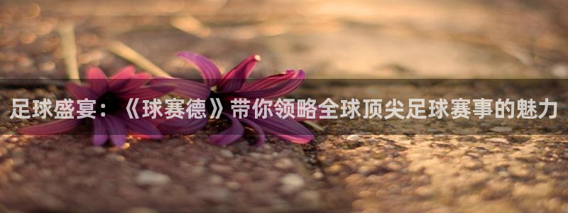  意昂平台官网：足球盛宴：《球赛德》带你领略全球顶尖足球赛事的