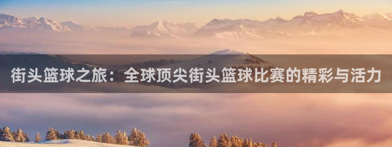 意昂平台登录入口2025：街头篮球之