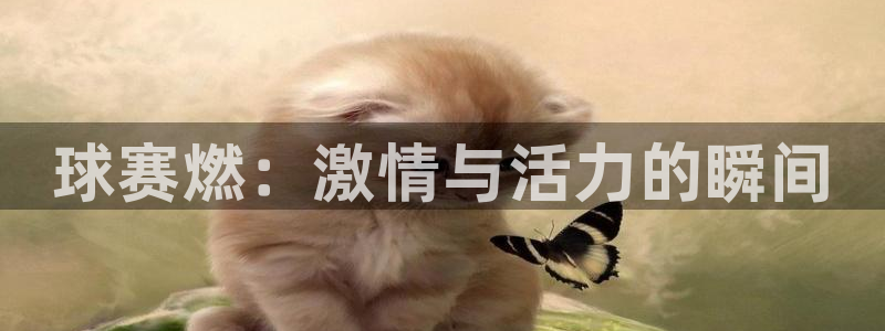  意昂平台：球赛燃：激情与活力的瞬间