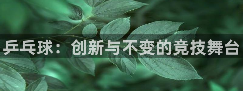  意昂体育app官方下载安装：乒乓球：创新与不变的竞技舞台