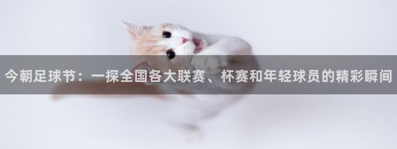  意昂平台app官方下载：今朝足球节：一探全国各大联赛、杯赛和