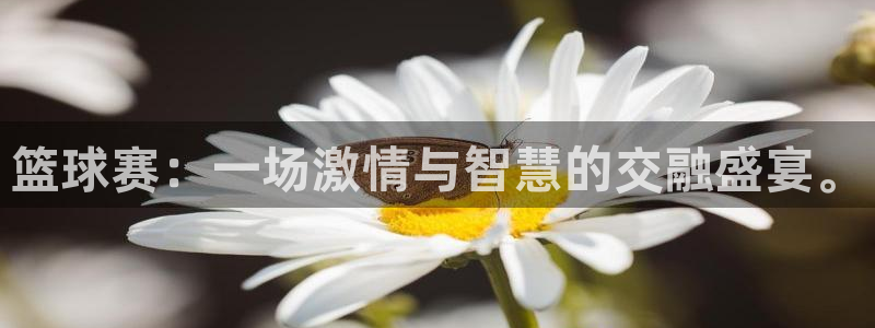  意昂平台app官方下载：篮球赛：一场激情与智慧的交融盛宴。