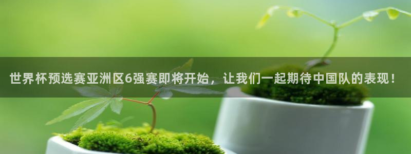 意昂体育app官方下载安装：世界杯预选赛亚洲区6强赛即将开始