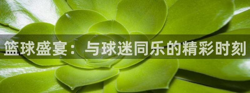  意昂体育app官方网站入口在线观看：篮球盛宴：与球迷同乐的精